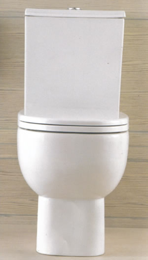 Sanitarios Pozzi Ginori Quinta